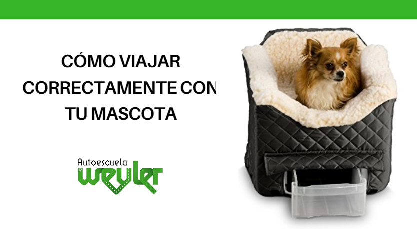 Cómo viajar correctamente con tu mascota