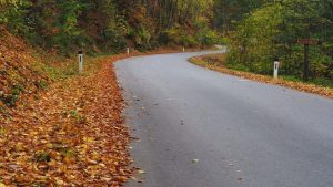 carretera-hojas-pxfuel
