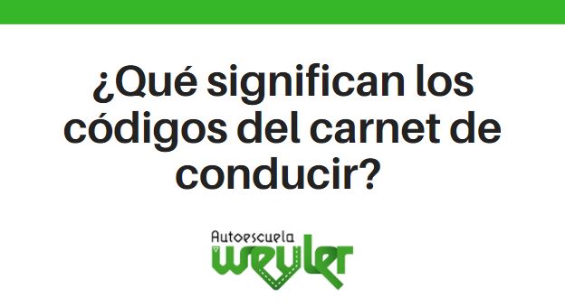 ¿Qué pasa si atropellas a un animal conduciendo?